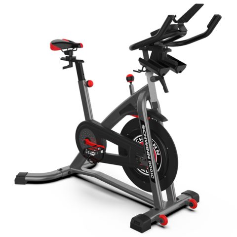 Schwinn IC8 Indoor Bike (800IC)