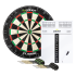 Court Classic Dart set